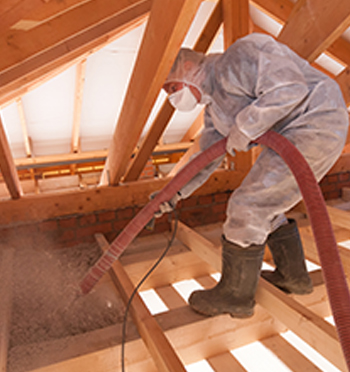 Clymore Mold technician treating an attic for mold