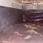 <h3>Mold in Basement</h3>