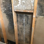 <h3>Mold in Drywall</h3>