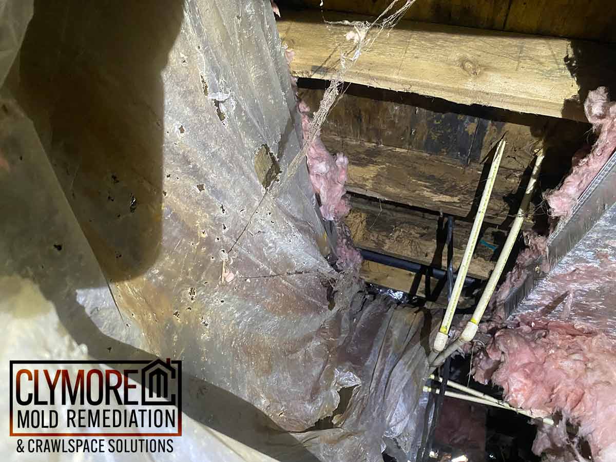 Mold infestation on the wood boards in a residential crawlspace